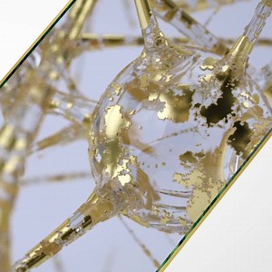 2.5K views | Discover DOUBLE INNOVATION from Sisley-Paris with the...