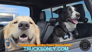 🔥 Attention all truck lovers! TWO beautiful new trucks ready to take on any off-road adventure you can imagine! 🏜️ Lifted and off-road gifted, passing our lifted certification with flying colors! these trucks are sure to turn heads and make a statement on the road! trucksonly.com 🚀And the best part? You can find them both at Trucks Only in Mesa! Known for our exceptional service and quality vehicles, we're also the home of the lifetime engine warranty! 🛡️ Plus, dogs are always welcome at our