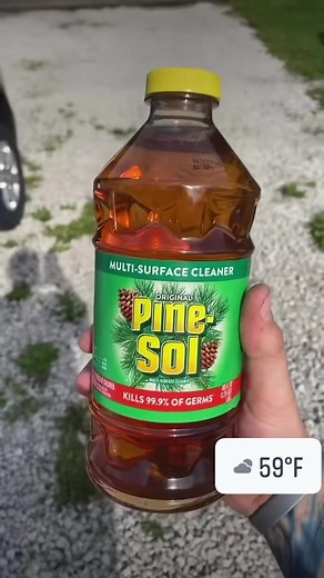 5.5M views · 104K reactions | How to keep snakes and mice away | Ceith Griffith | Facebook