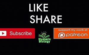 Microfilaments vs Microtubules vs Intermediate Filaments