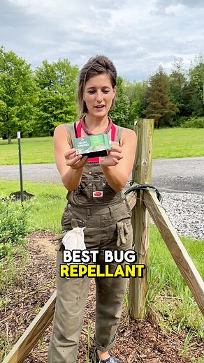 50K views · 392 reactions | Irish spring makes the best bug repellent when you use it like this! #reels #garden #bugspray | Leon & LaCongo | Facebook