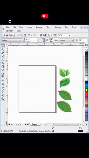 502 reactions · 58 shares | Star Design on Reels | Facebook