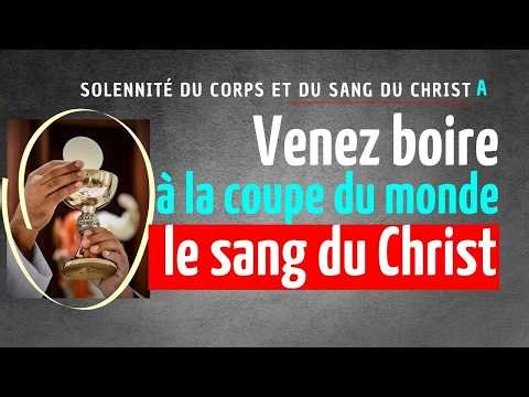 But where has the Blood of Christ gone? ✝️ | Homily, Corpus Christi Sunday