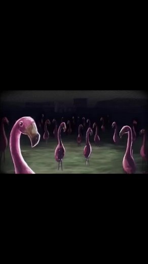 Tài khoản được đề xuất