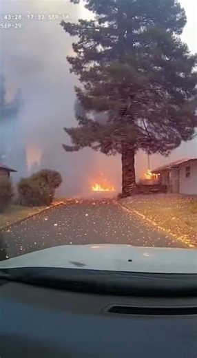 🚨 We Didn't Expect THIS During Evacuation... 🔥 (Dashcam Footage)