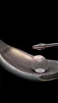 Water Droplet Science: Explosion vs. Takeoff 🚀