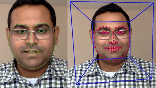 Facial Landmark Detection | LearnOpenCV #