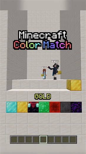 Custom on Instagram: "color match on HARDCORE difficulty... #minecraft #minecraftmemes #fyp #funny #minecraftchallenge #gaming"