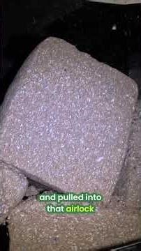 Why Cellulose Doesn’t Go to Waste