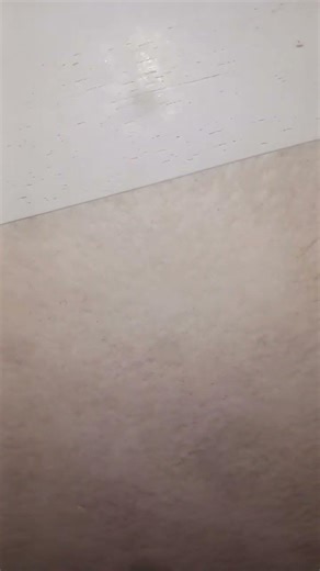 川口春奈さんのYouTubeチャンネルが更新されない。