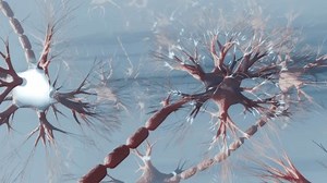 Neuron Cells Synapses Human Brain Firing Stock Footage Video (100% Royalty-free) 3622886187 | Shutterstock