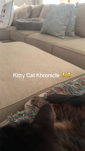 Deborah Davis Renner (@deborah.davis.ren)’s videos with original sound - Deborah Davis Renner