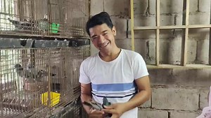 18K views · 845 reactions | LOLO 96.7% FLYING MACHINE 2007 | LOFT NI BAIT | Facebook