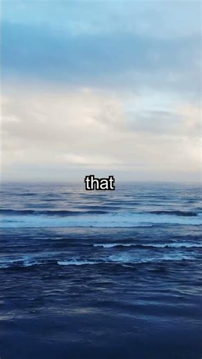 Colossal Squid's Astonishing Eyes Reveal Deep Sea Secrets