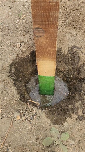 Amazing Wood Tip with Plastic Bottle #woodworking #bottle #tips