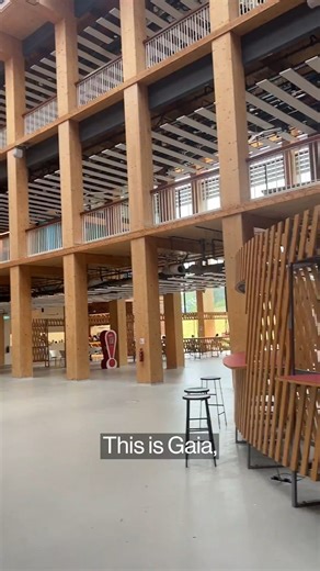 53K views · 200 reactions | It took about $94 million to construct Asia’s largest wooden building, but it's now growing moldy. Dexter Low examines how a Singapore university’s ambitious effort to go green is challenged by its tropical climate. https://trib.al/15EXG4n | Bloomberg | Facebook