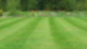 Our 5 Series petrol lawn mowers all feature a Briggs and Stratton 650 ReadyStart engine, so starting the mower is a piece of cake. Find out all about the other benefits of this range in our video. | STIHL