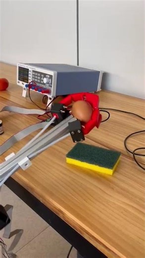 3D-Printed Hybrid Soft Robotic Gripper for Delicate Object Manipulation-2