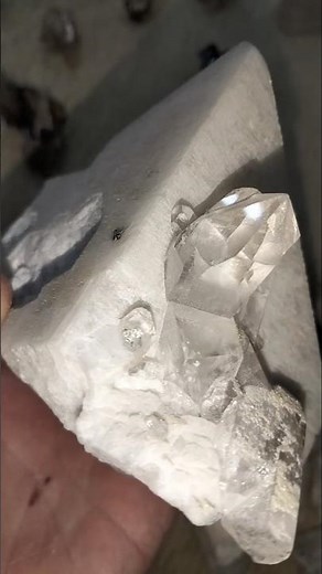 NaturalQuartz Crystals Growing on Feldspar Matrix #shortsfeed #quartz #minerals #gems #crystalshop