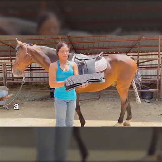 📣 𝙎𝙖𝙙𝙙𝙡𝙚𝘽𝙤𝙭 𝙌𝙪𝙞𝙘𝙠 𝙏𝙞𝙥: This week, Keequine shows us how to put on an English saddle. 🐎 | SaddleBox