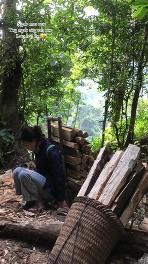 iPhone 8 Plus Review and Comparison Guide