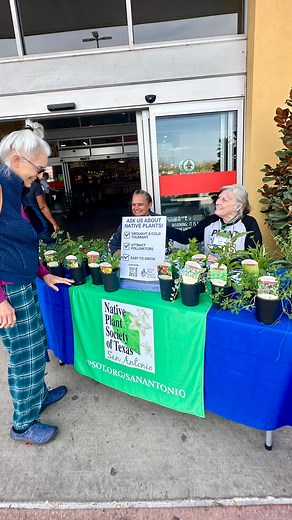 Celebrate Texas native plants with us this weekend at your local @heb! Our volunteers will be at 21 stores answering questions about native plants, and over 200 H-E-B stores throughout the state are currently offering 20 Texas native species in quart sized pots. If you pick up some plants for your garden, share them and tag #npsot and #ourtexasourfuture! | Native Plant Society of Texas