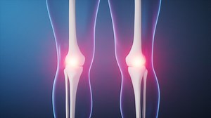 Leg bone in the transparent human body, 3d rendering. Premium Stock Video Footage