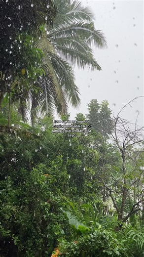 CheeCortez on TikTok