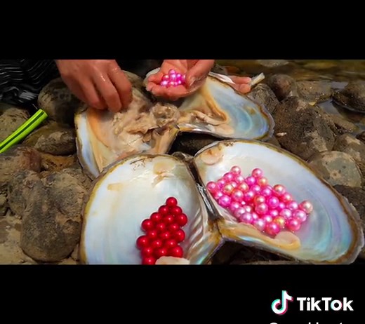 #pearlhunter #treasure #pearl