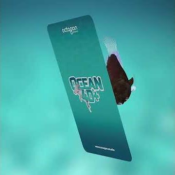 Ocean 4D+ Humpback Anglerfish | Octagon Studio