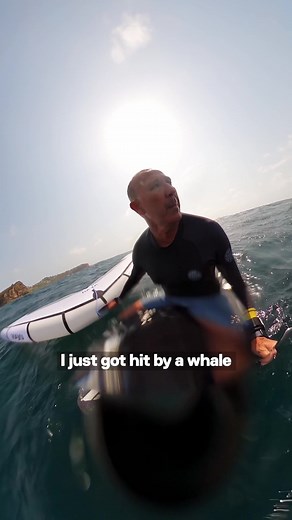 Whale, we sure didn't see that coming 👀 Jason Breen captured the moment he collided with a whale calf on his #GoProMAX. Thankfully, Jason the whale are both unharmed 🙌 #gopro #WingFoil #WindFoiling #Australia #Whale #WhaleEncounter #wingfoiling