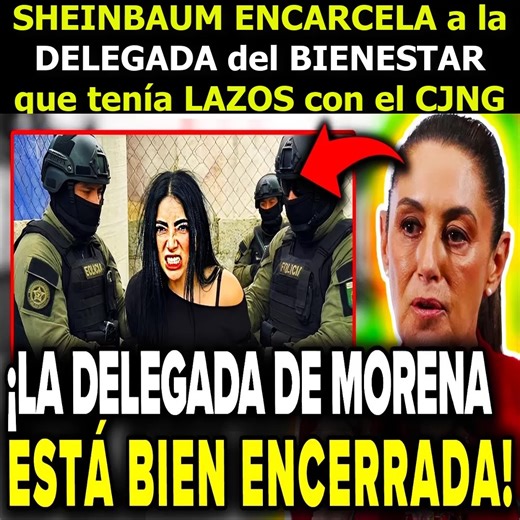 ¡CAE LA CORRUPCIÓN! LA DECISIÓN DE SHEINBAUM QUE PONE ORDEN EN LOS PROGRAMAS SOCIALES Y MARCA UN PRECEDENTE EN MÉXICO | Daily Brief