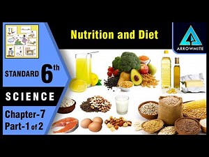 Nutrition and Diet | Std 6 | Science | Chapter 7 | Part 1/2 | Maharashtra Board