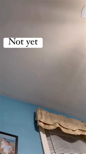 Love my girl! Scout only on her terms! | Danielle Trimber