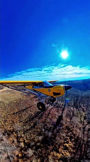 Cub | Departure Banks Ranch — Wing View