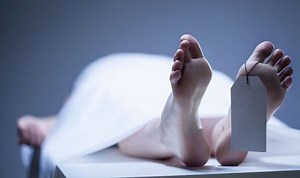 Life after death: Scientist reveals evidence to ‘prove’ afterlife
