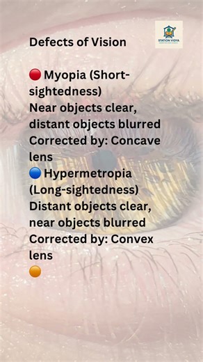 Defects of Vision Explained | Myopia, Hypermetropia & Presbyopia Class 10 Science #science #biology