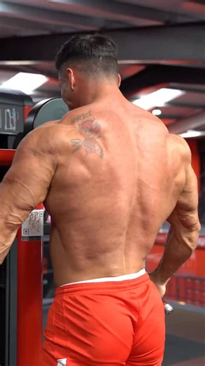 1.8K views · 153 reactions | Standing machine lateral raise - a great...