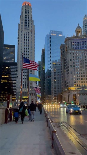 Chicago Night Drive 🌃🚗 | Downtown City Lights & Street Views | 4K #travel #chicago #shorts
