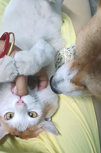 84K views · 4.9K reactions | বেশ কিছুদিন ধরে আর কিছুই পোস্ট করতে মন...