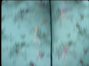 Sc Johnson Pledge TV Commercial - Demo Music