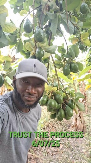 Baldeh Banna on Reels