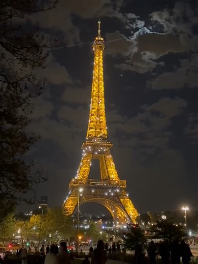Parisian Charm: A Love Letter to the Eiffel Tower