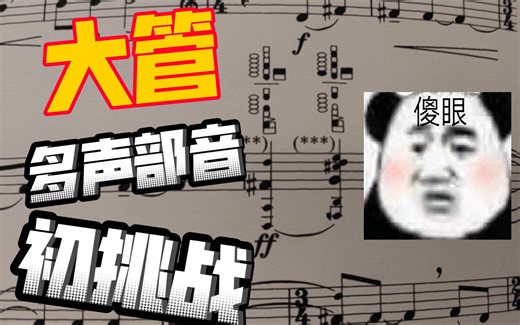 原来大管真的可以同时吹几个音啊——大管多声部音（multiphonic）初挑战