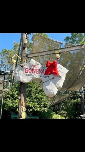 Animal Kingdom 2022 Christmas Overlay I miss it! #travel #christmaslights #disney #animalkingdom