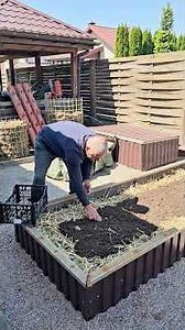 Experiment in growing potatoes