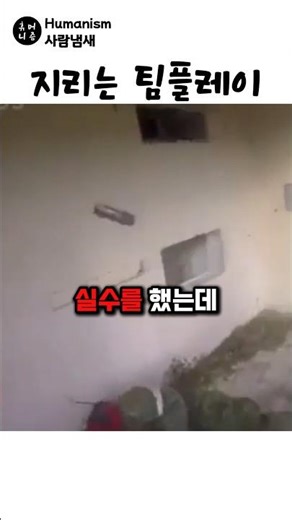 완벽한 파트너
