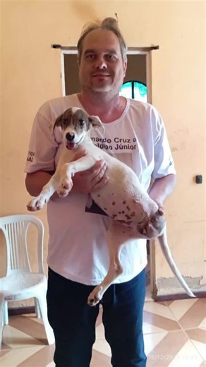 ATUALIZAÇÃO: Quem se lembra dele, foi atropelado por um caminhão, estraçalhou a pata traseira, tivemos que fazer a AMPUTAÇÃO. Ele foi acolhido pelo Santuário FELIZ ASSIM que fica em Juiz de Fora, quero agradecer a minha amiga Melina Marques . Muito obrigado também a todos na Clínica ZOOVET PET SHOP que fica no Carmo-RJ, em especial ao Dr. Júlio Costa, que mais uma vez mostrou sua capacidade em salvar mais essa vida.