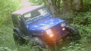 Trail camera images show unauthorized activity in private property surrounding Lake Whatcom watershed