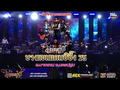 🔥ใหม่ล่าสุด!! ไม้ซุง เพชรบุรี 🔴คอนเสิร์ต บางแขมแคมป์ปิ้ง75 📌บางแขม จ.นครปฐม 25 / 01 / 69